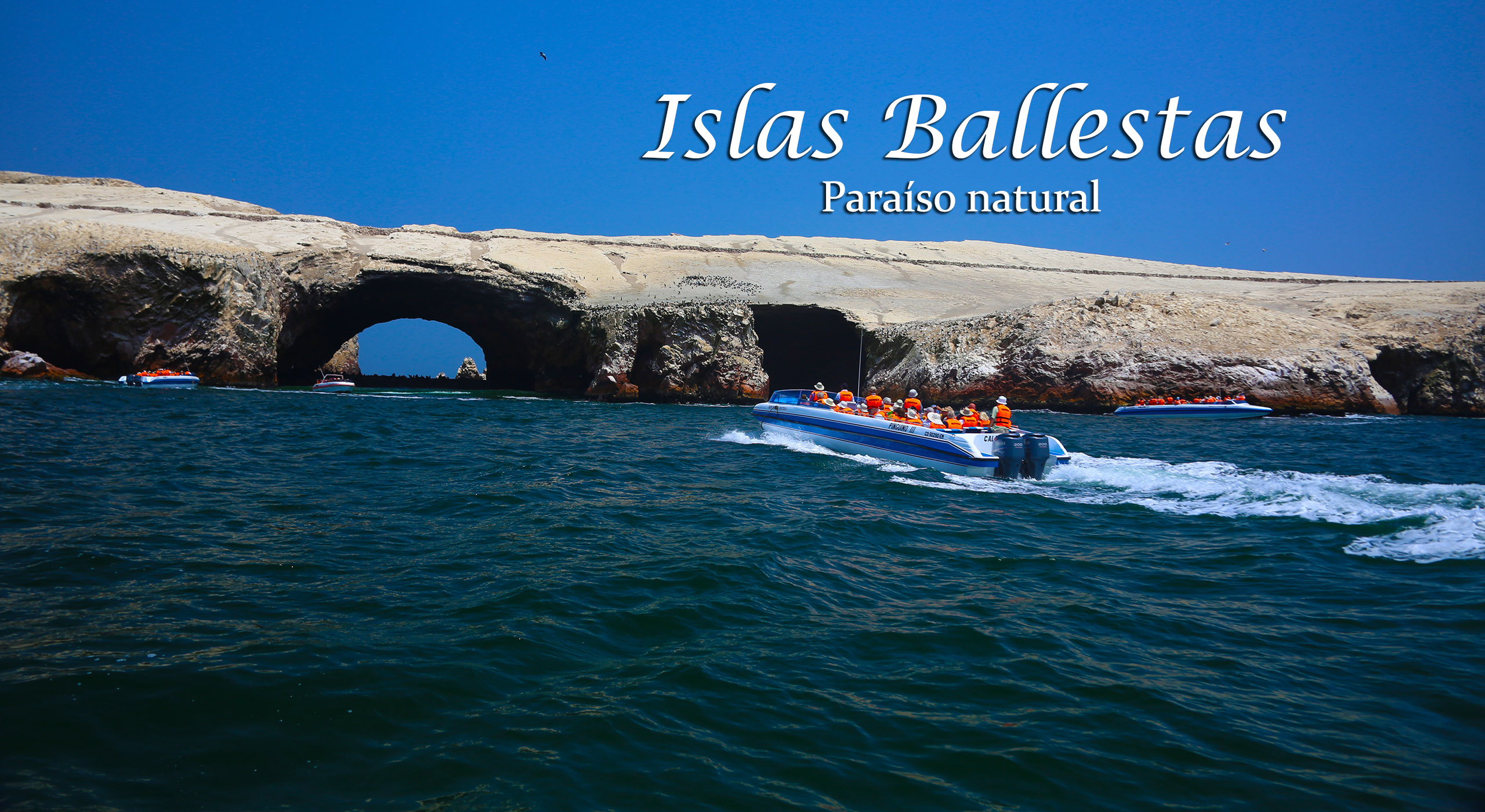 Islas Ballestas - Paracas